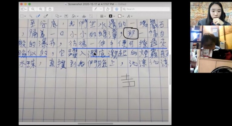 SEN Tutoring and Training Project (Subsidized Scheme)