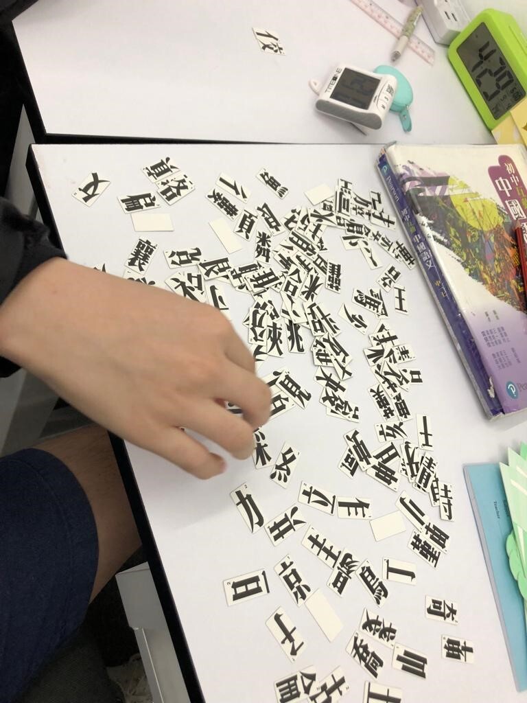 SEN Tutoring and Training Project (Subsidized Scheme)